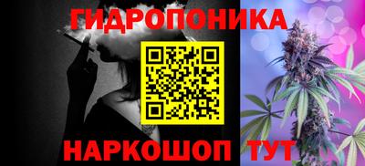хмурый Сланцы